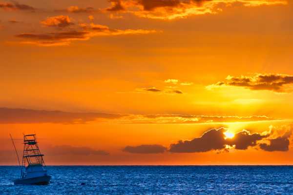 Sport Fishing at Dreams Las Mareas