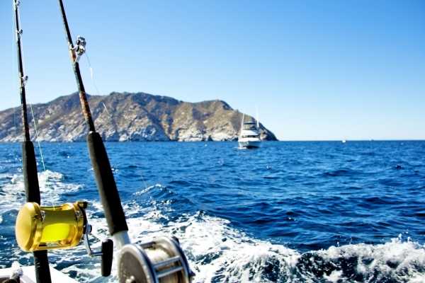 Sport Fishing at Dreams Las Mareas
