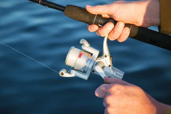 Sport Fishing at Dreams Las Mareas