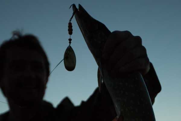 Sport Fishing at Dreams Las Mareas