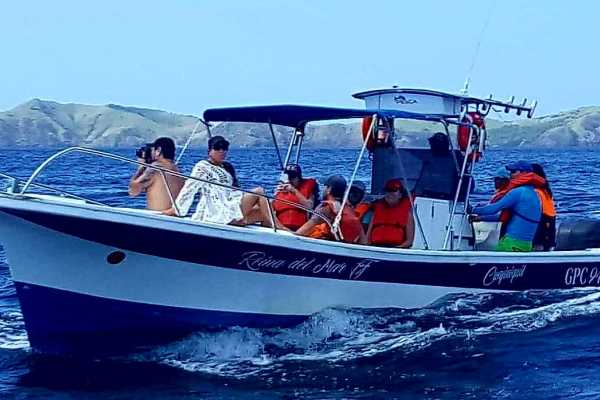 Sport Fishing at Dreams Las Mareas