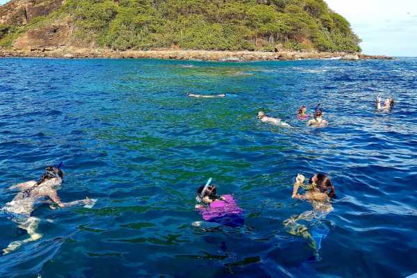 Snorkeling at Dreams Las Mareas