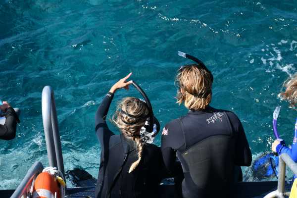 Snorkeling at Dreams Las Mareas