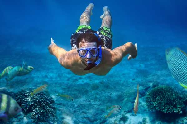 Snorkeling at Dreams Las Mareas