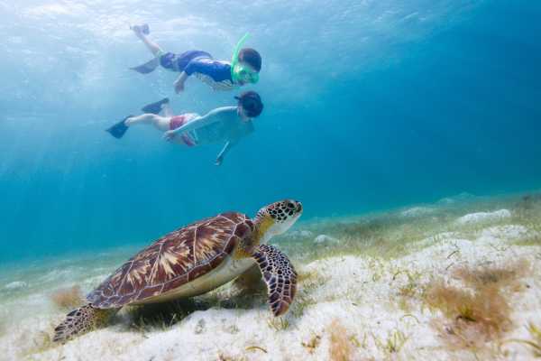Snorkeling at Dreams Las Mareas