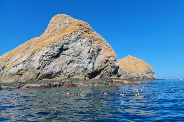 Snorkeling at Dreams Las Mareas