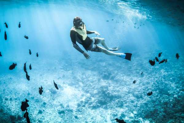 Snorkeling at Dreams Las Mareas