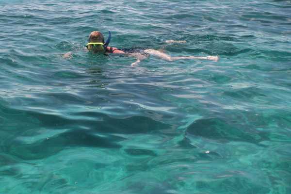 Snorkeling at Dreams Las Mareas