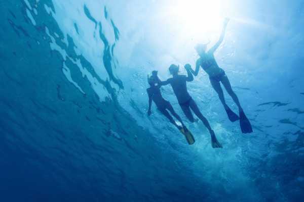 "Aqualord" Ultimate Ocean Ecotour