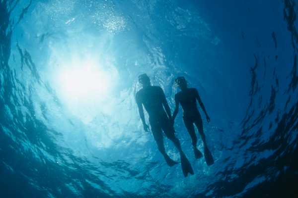 "Aqualord" Ultimate Ocean Ecotour