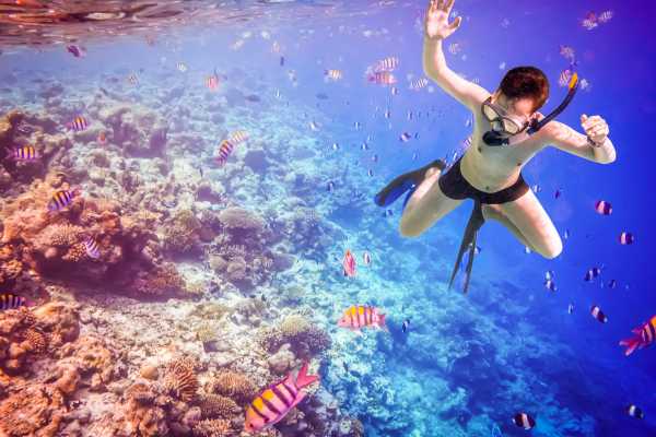 "Aqualord" Ultimate Ocean Ecotour