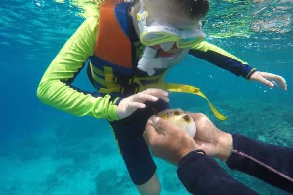 "Aqualord" Ultimate Ocean Ecotour