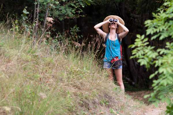 Bird-Watching at the Rinc&oacute;n Volcano