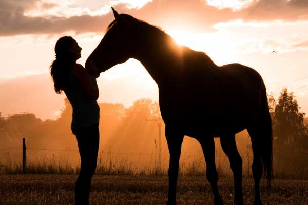 Horseback Riding at Pura Aventura