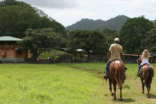 Horseback Riding at Pura Aventura
