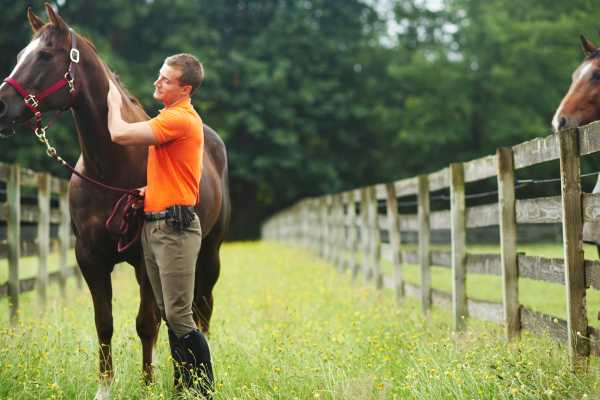 Horseback Riding at Pura Aventura