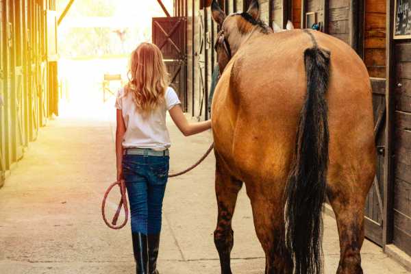 Horseback Riding at Pura Aventura