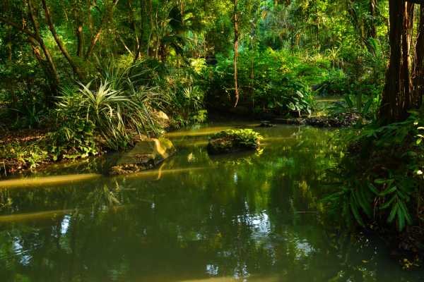 Dreams Las Mareas ATV Jungles Tour