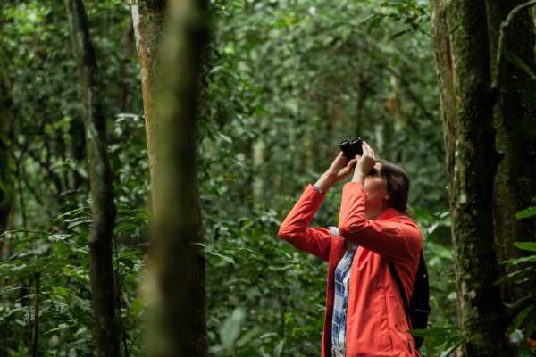 Dreams Las Mareas ATV Jungles Tour