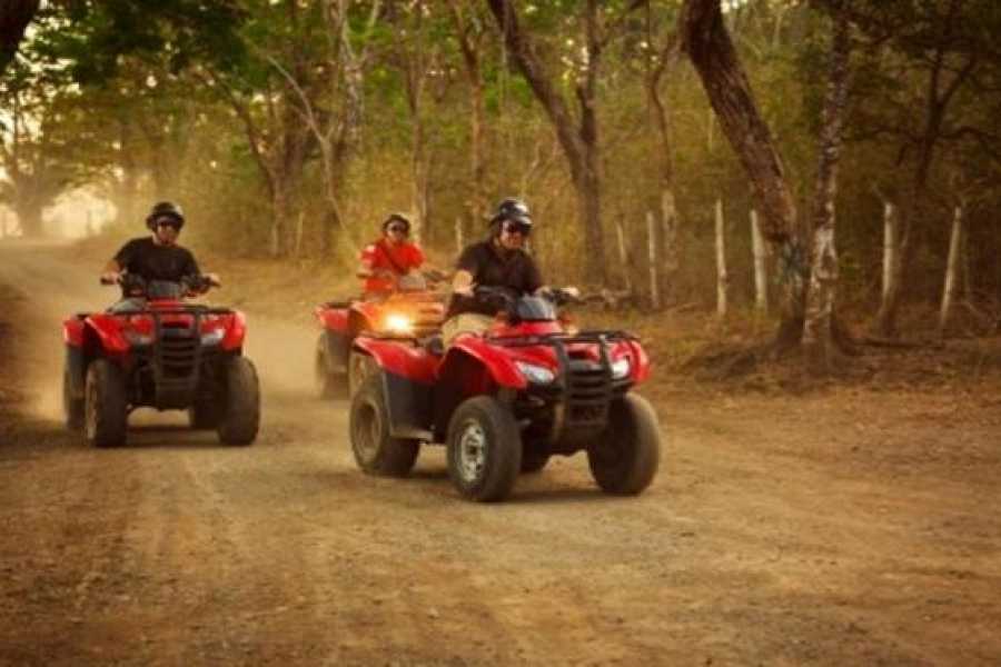 Lizard Tours ATV - Zipline at Adventure Park