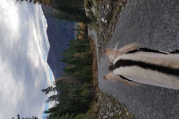 Panoramic riding trip Nordfjordeid