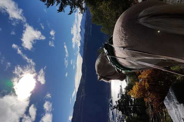 Panoramic riding trip Nordfjordeid