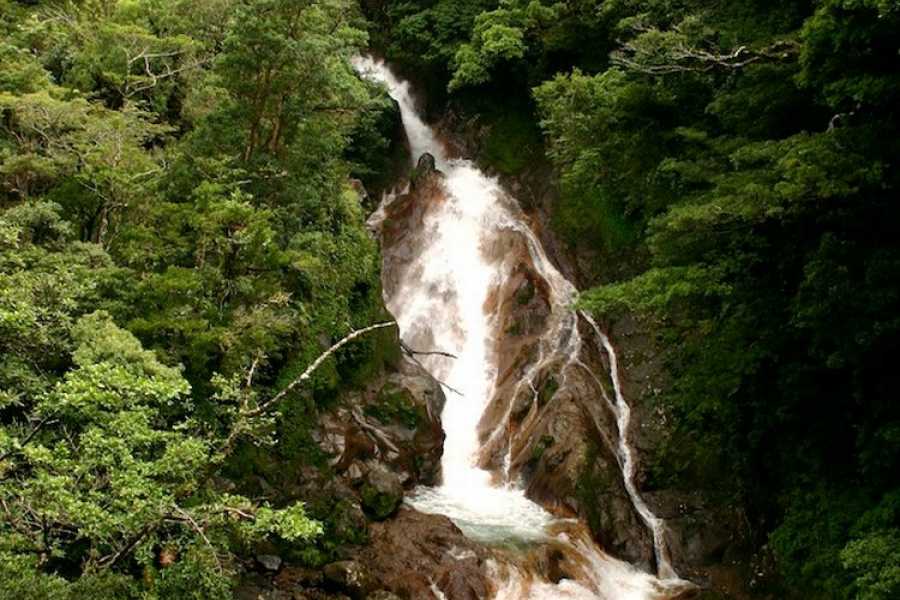 Lizard Tours Miravalles Waterfalls