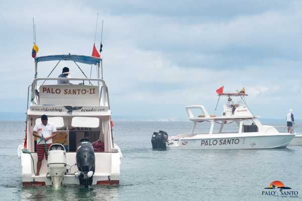 MANTA |  LOS FRAILES BEACH | WHALE WATCHING | SNORKEL | ISLA SALANGO|ECUADOR