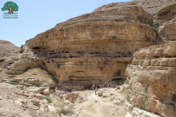 10 MArch&ndash; 18 MARS 2020, DE KAFR MALIK A TUQUA, RANDONNEE DU PRINTEMPS 2020