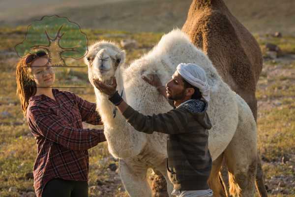 19 &ndash; 25 MARS 2020, TUQUA A BEIT MIRSIM, RANDONNEE DE PRINTEMPS 2020