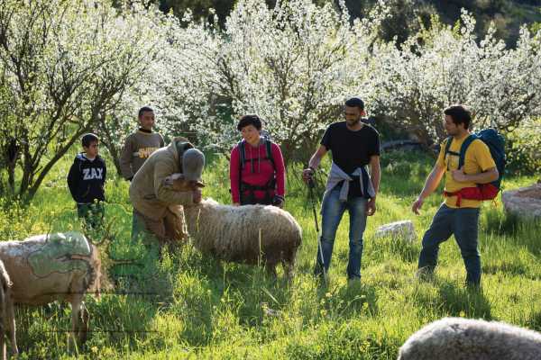 19 &ndash; 25 MARS 2020, TUQUA A BEIT MIRSIM, RANDONNEE DE PRINTEMPS 2020