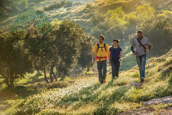 19 &ndash; 25 NOVEMBRE 2019, TUQUA A BEIT MIRSIM, RANDONNEE D&rsquo;AUTOMNE 2019