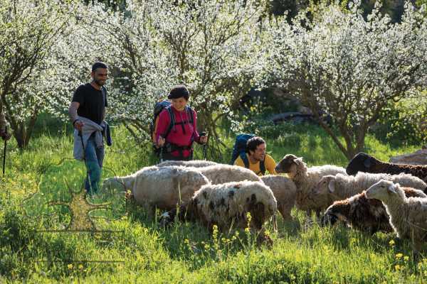 19 &ndash; 25 NOVEMBRE 2019, TUQUA A BEIT MIRSIM, RANDONNEE D&rsquo;AUTOMNE 2019