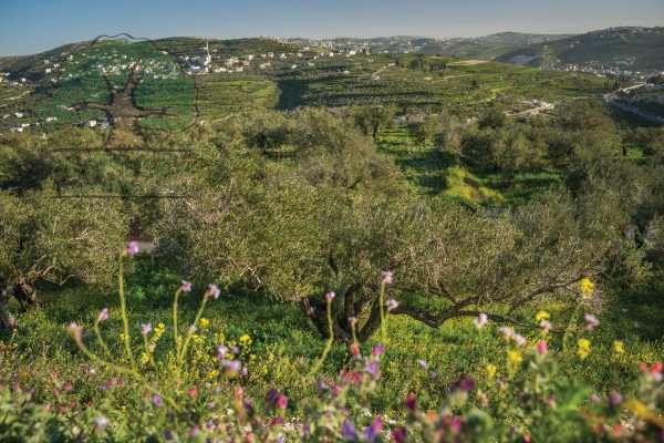 2 NOVEMBRE &ndash; 9 NOVEMBRE 2019 &ndash; DE RUMMANA A KAFR MALE, RANDONNEE DE L&rsquo;AUTOMNE 2019