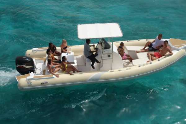 Private Speedboat to dolphin house in Hurghada