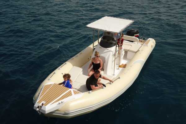 Private Speedboat to dolphin house in Hurghada