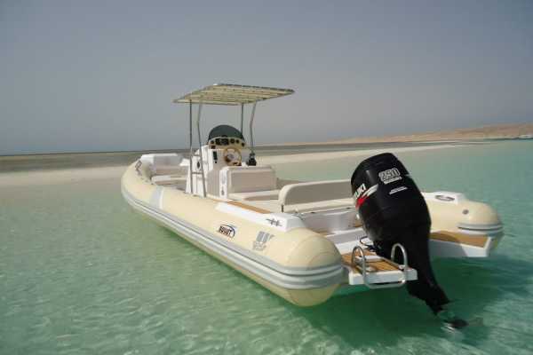 Private Speedboat to dolphin house in Hurghada