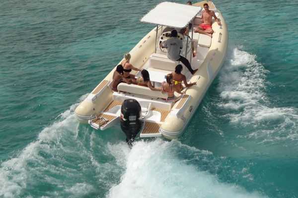 Private Speedboat to dolphin house in Hurghada