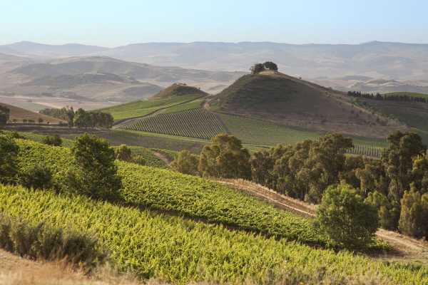 8 Days Western Sicily Private Tour "The Essence of Western Sicily