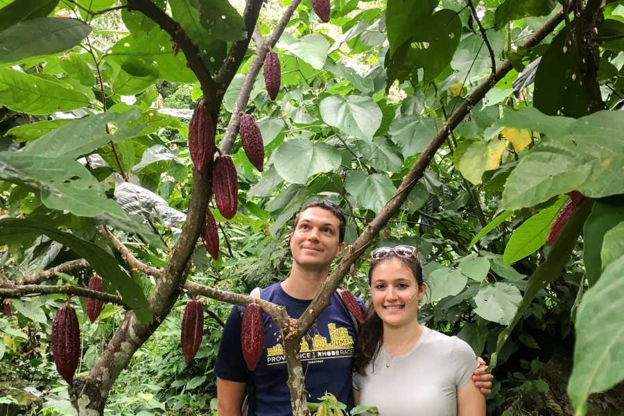 Andes Ecotours Chocolate & Coffee Farm Experience