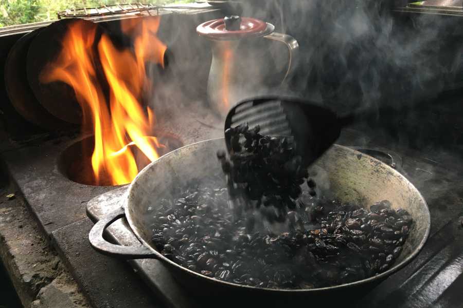 Andes Ecotours Chocolate & Coffee Farm Experience