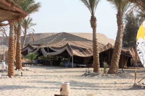 Abu Dabab day Snorkeling Tour from El Gouna