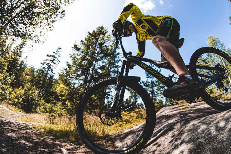 Trekksoft Bike rental