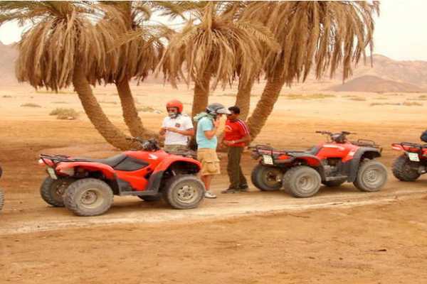 Afternoon Quad Bike Safari Excursion from EL Gouna