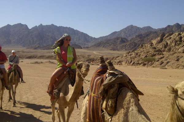 Afternoon Quad Bike Safari Excursion from EL Gouna
