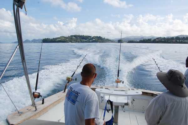 St. Lucia Deep Sea Fishing
