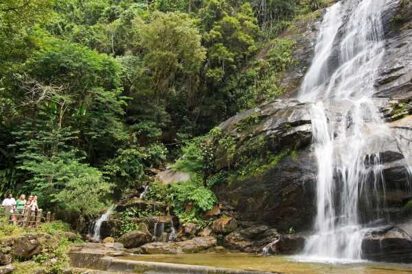 Tijuca Forest and Botanical Garden Expedition