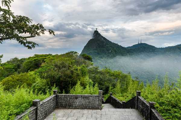 Tijuca Forest and Botanical Garden Expedition