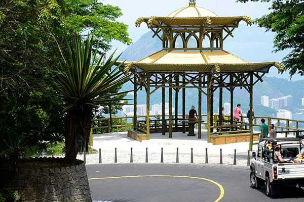 Tijuca Forest and Botanical Garden Expedition