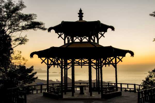 Tijuca Forest and Botanical Garden Expedition